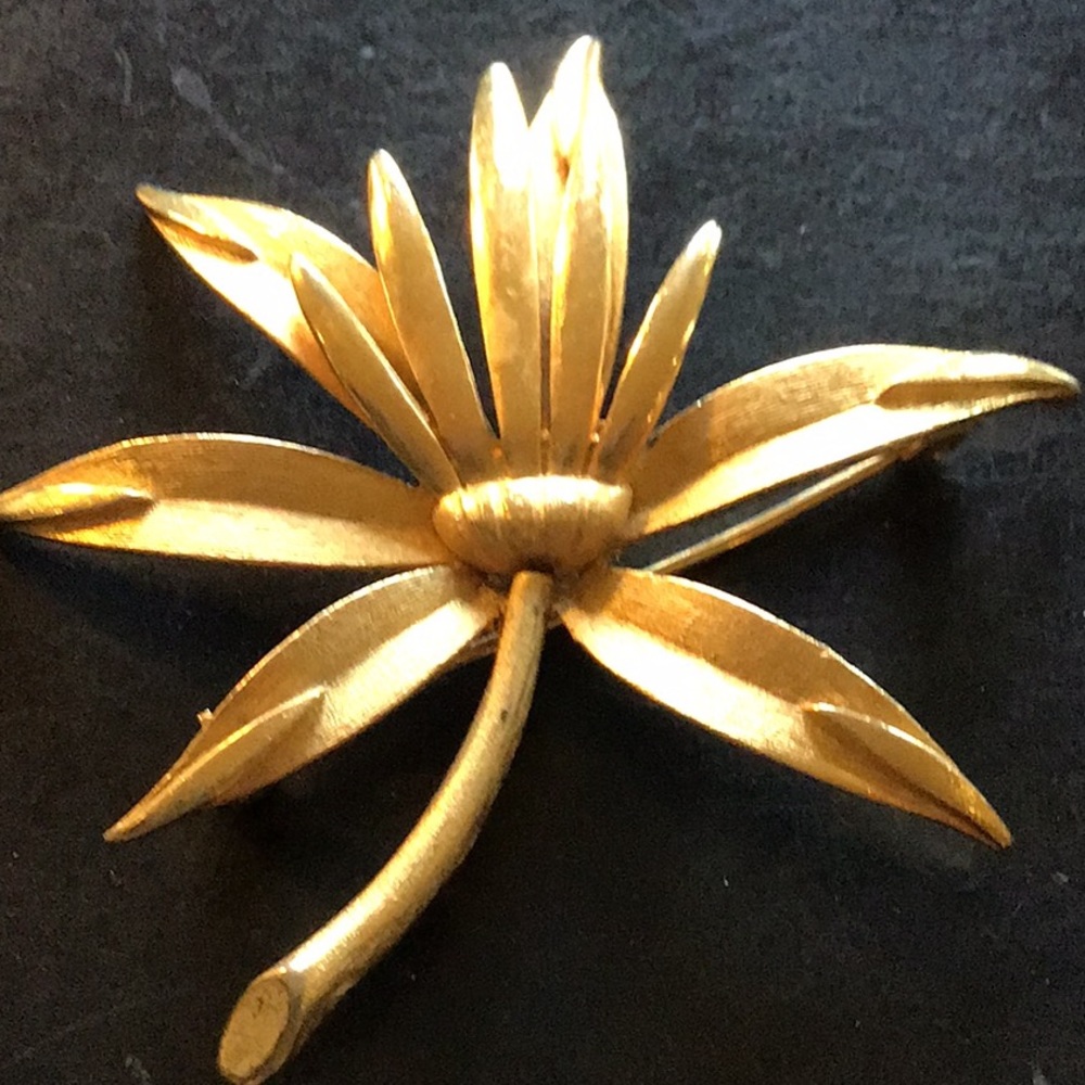 Brooch